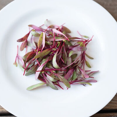 Beets